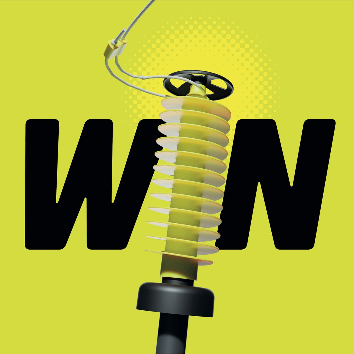 Who is the Swingball champion in your family?