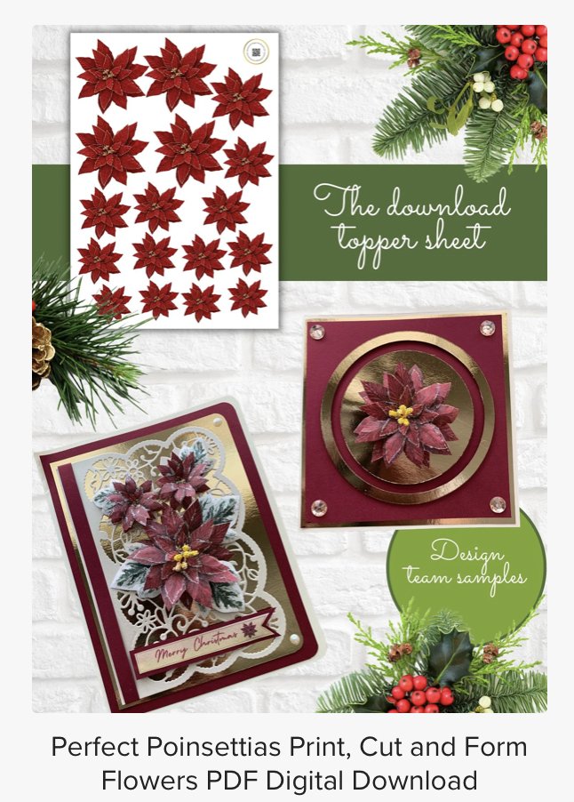 Opulencebydesi1's tweet photo. New video just launched! 

https://t.co/B9t6iPj0bY

2 Poinsettia sheets available - see description of the video on YouTube for links

#cardmaking #papercrafting #tutorial #christmascrafts #flowermaking https://t.co/62P1Uvx2Z5