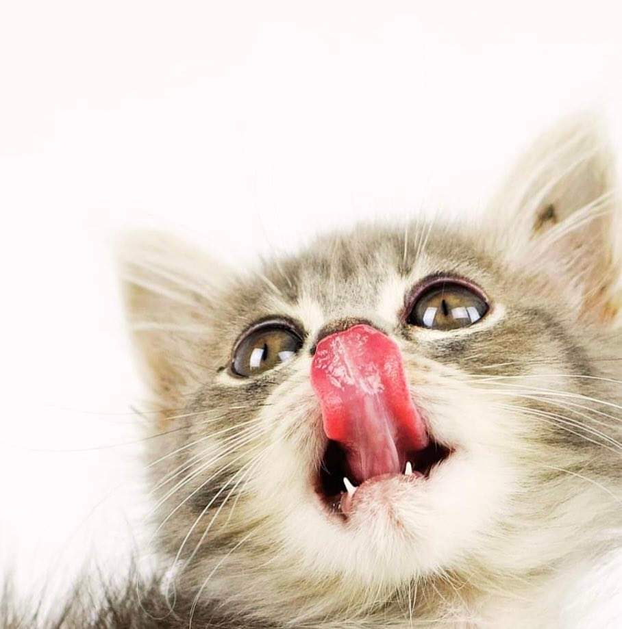 com_Uniti's tweet photo. 💫 Vous avez essayé les nudes, les gifs et les chatons, mais votre trafic web ne décolle pas ?
Les stories Instagram peuvent vous sauver la mise 👉 https://t.co/Co2CJpU8Nh
Des astuces c'est bien, mais l'expertise de Com'Uniti, c'est du domaine de l'indispensable 😉 On s'appelle ? https://t.co/vbVfMdSzwK