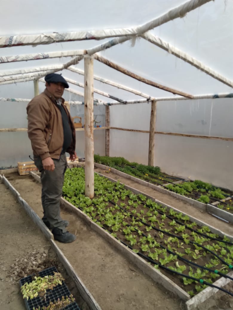 subsecprodnqn's tweet photo. Capacitación e instalación de riego por goteo en invernaderos de la AFRNaunauco, en el marco del proyecto "Bases para el crecimiento agrícola-ganadero del pje Naunauco" que lleva una inversión #PISEAR de más de 5 millones de pesos y beneficia a 21 familias. @AmaliaSapag @FLR_NQN https://t.co/7LDE5xdfJG