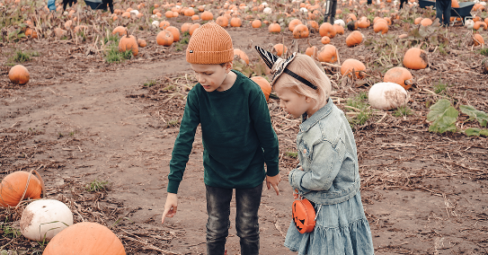 PrimaryWolf's tweet image. It’s easier to stay active in the summer but as the season changes it can be more difficult to keep moving. Look for  fall activities that involve #walking, a great way to #exercise.

If you need support in staying active, talk with your family doctor.

#FitnessFriday