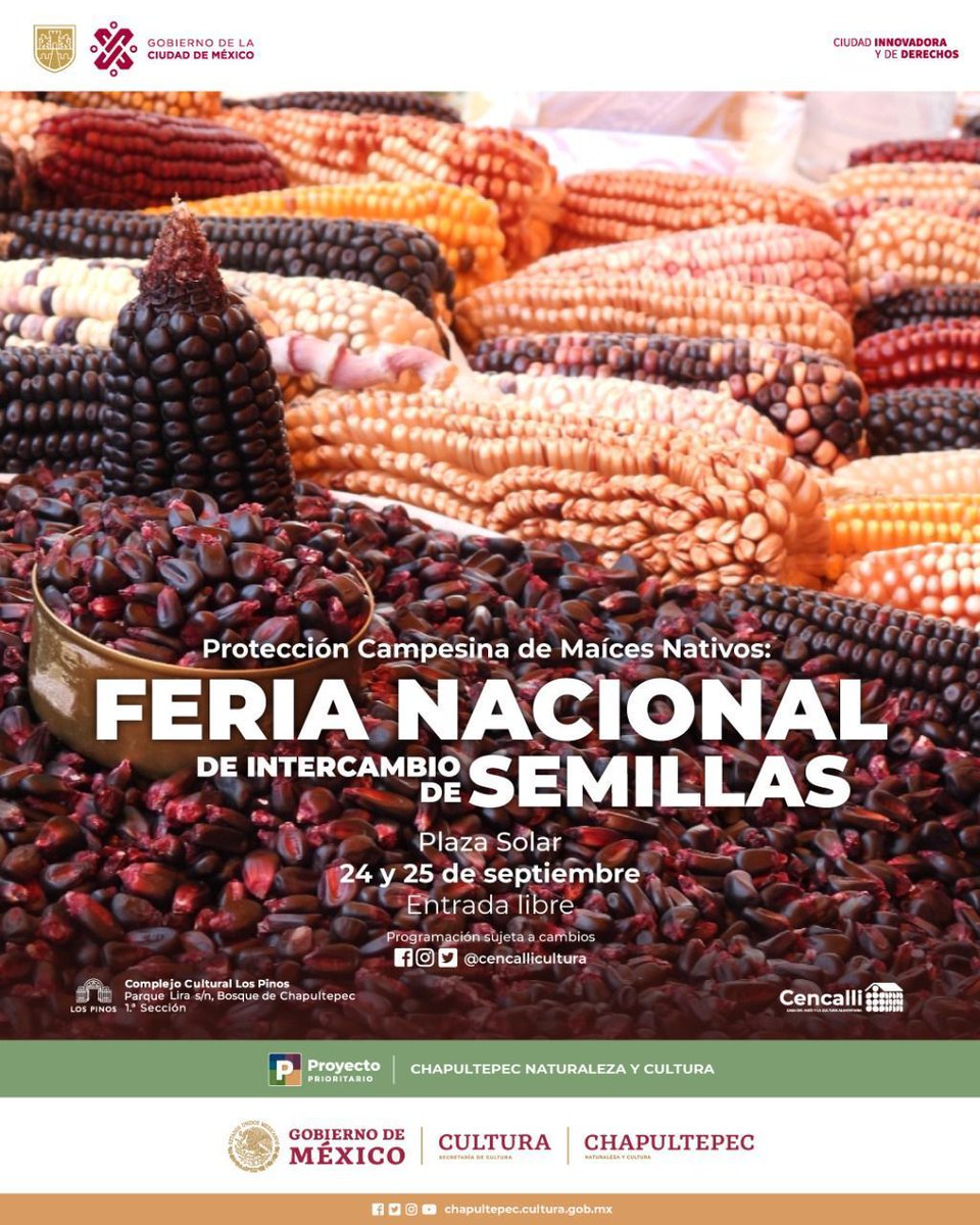 alefrausto's tweet photo. Los maices nativos son parte de la riqueza biocultural de México y base fundamental de nuestra cultura alimentaria.

Este fin de semana en @CencalliCultura, se llevará a cabo la feria nacional de intercambio de semillas en el mercado de el solar del @CC_LosPinos.

Entrada libre. https://t.co/YXUYLLAOen