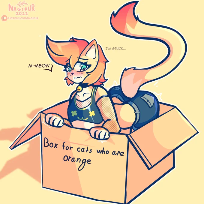 Dumb cat in a box 