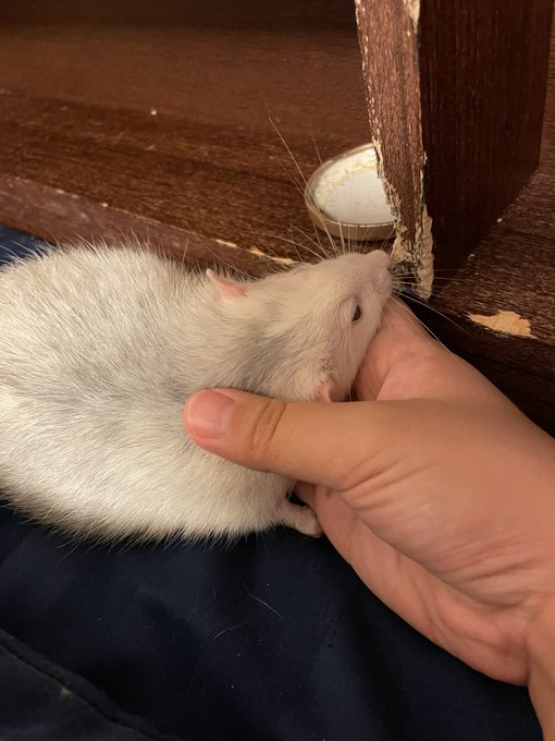まったり〜 