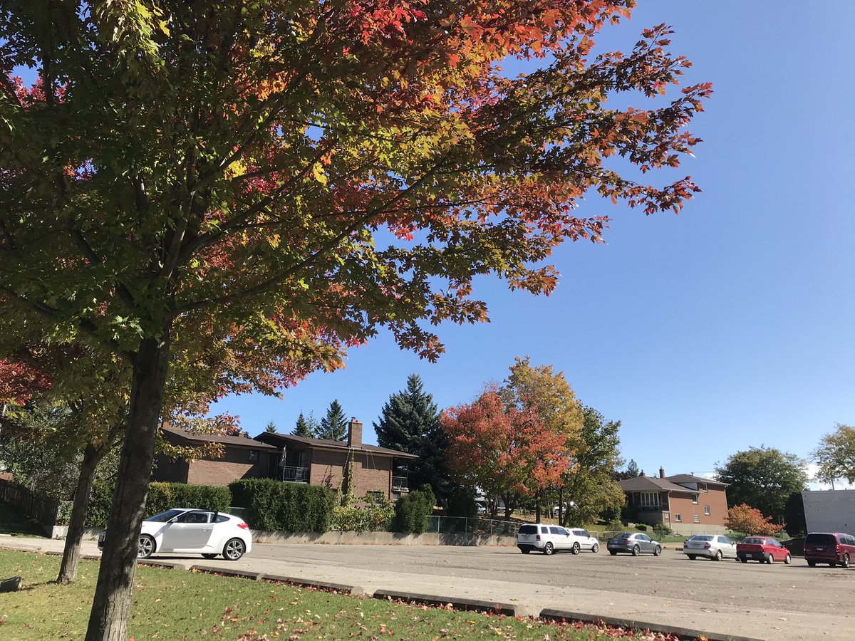 RedCurtainEnt's tweet image. Wow I can’t believe it’s already #Autumn 🍂 this is nuts 🥜