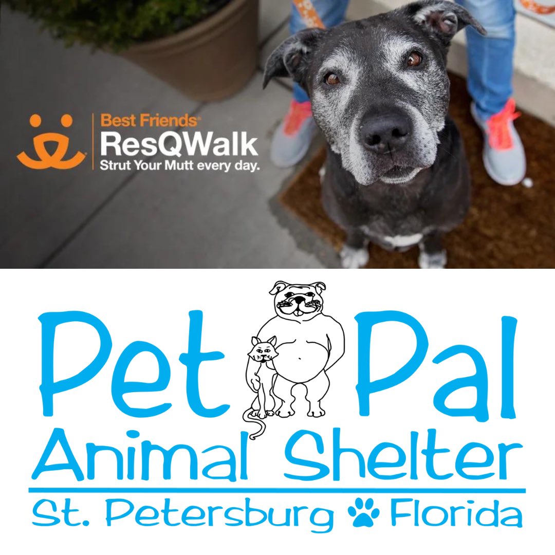 Pet Pal Shelter (@PetPalStPete) / Twitter
