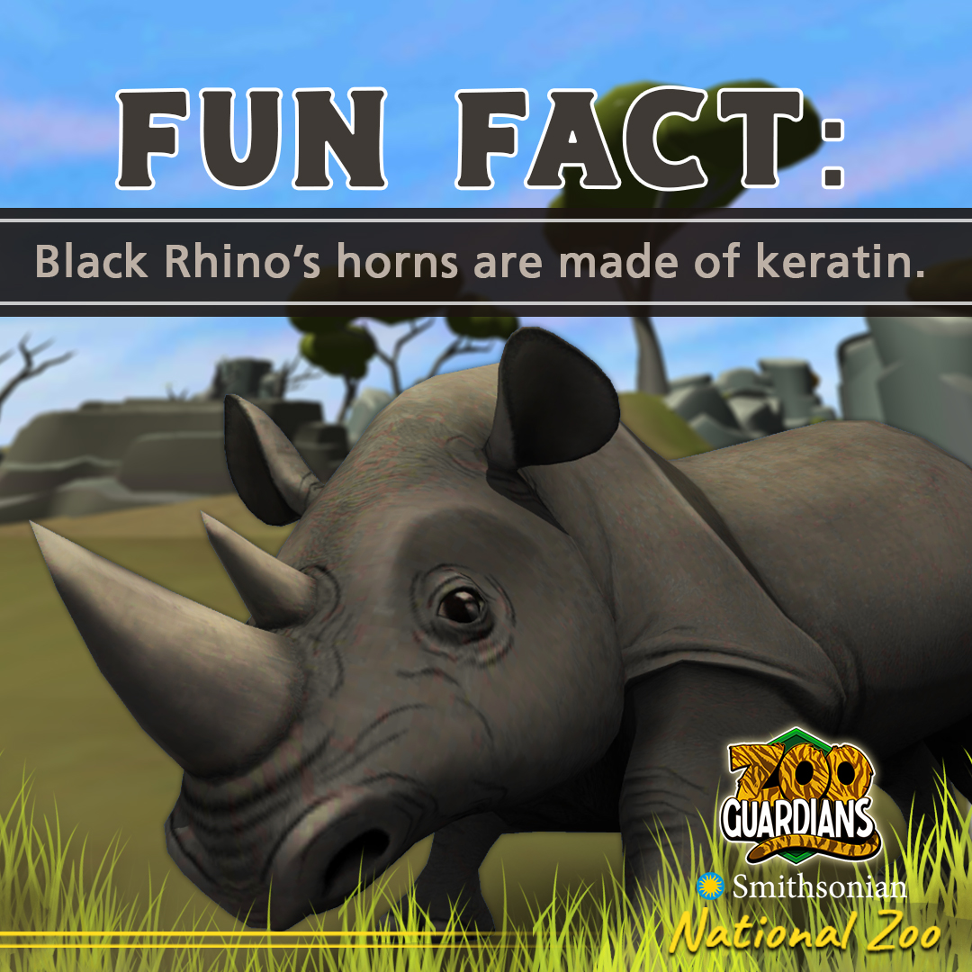 ZooGuardians's tweet photo. 🦏 Black Rhinos have two horns and occasionally a third, small posterior horn. These horns are made from keratin, the same material that your hair and nails are made from. This #FunFactFriday is on Point ✴️ and you can be too when you play #ZooGuardians! https://t.co/TEVo0QD559