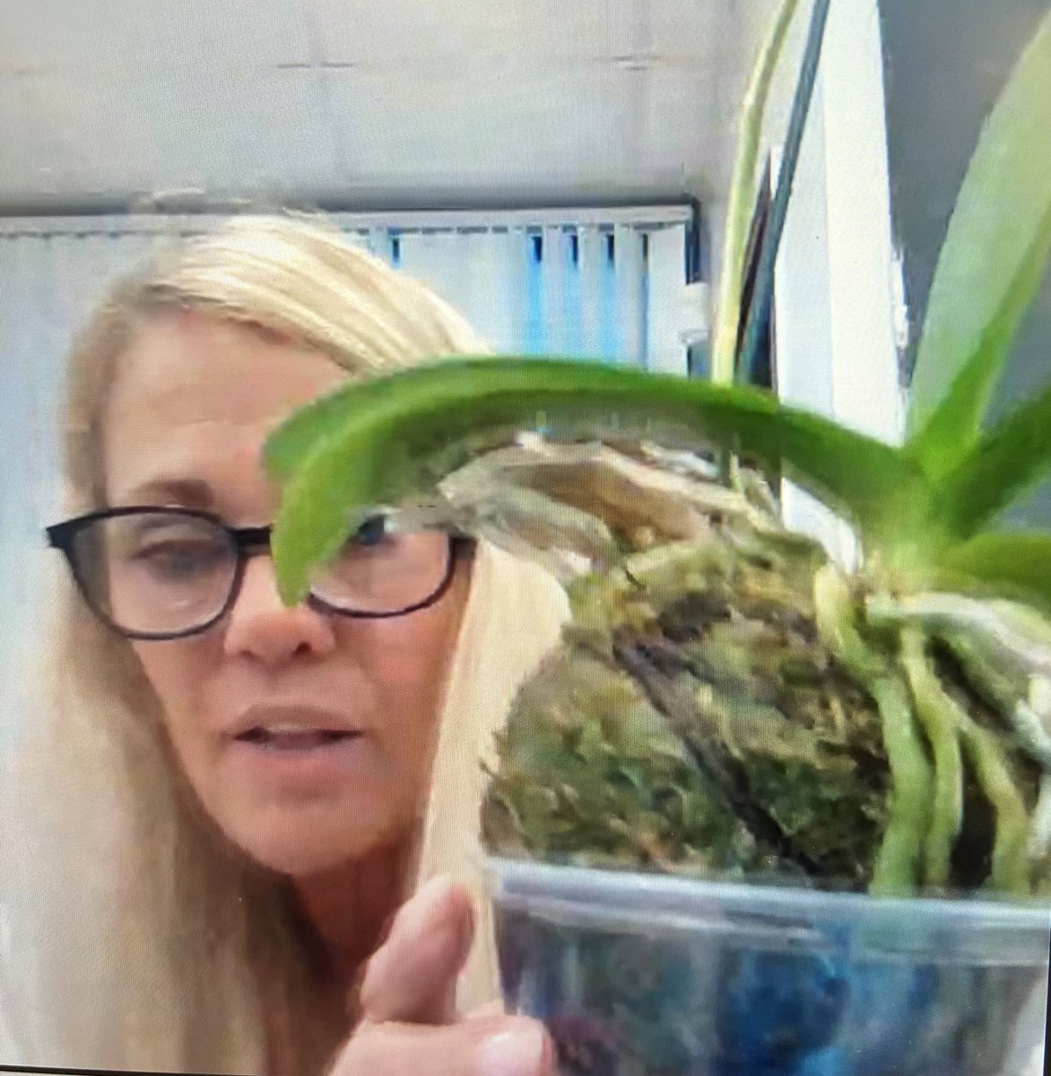 MrsGraysonDL's tweet photo. Scientist Brown came from her Lab to teach our Super Sonic Scientists about plants! 1st gr. botanists did great with a hands-on exploration &amp; connecting science to writing! Thanks for joining, @NovaEisenhower @HeronHeightsEl @PSEpanther @petersbroward &amp; more for joining! @bcpsDL https://t.co/44ce3vauMm