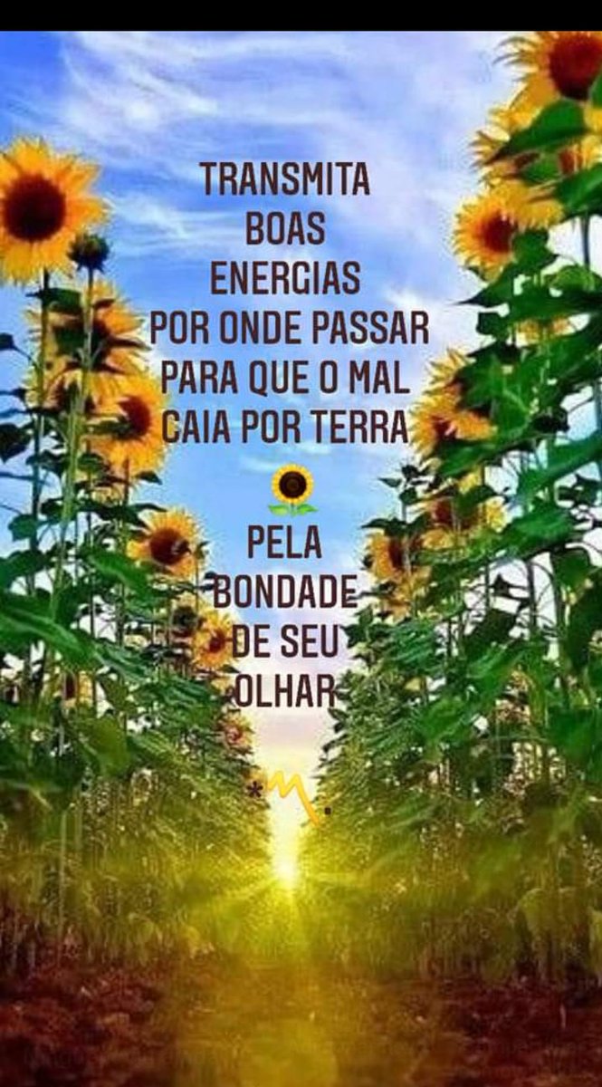 MD_Maumau's tweet image. 🍄
                  🌴Abra o caminho 🪴
🌹🌻🌼  Pra Primavera Passar 💐🌹🌷
             #Primavera2022  #Brasil