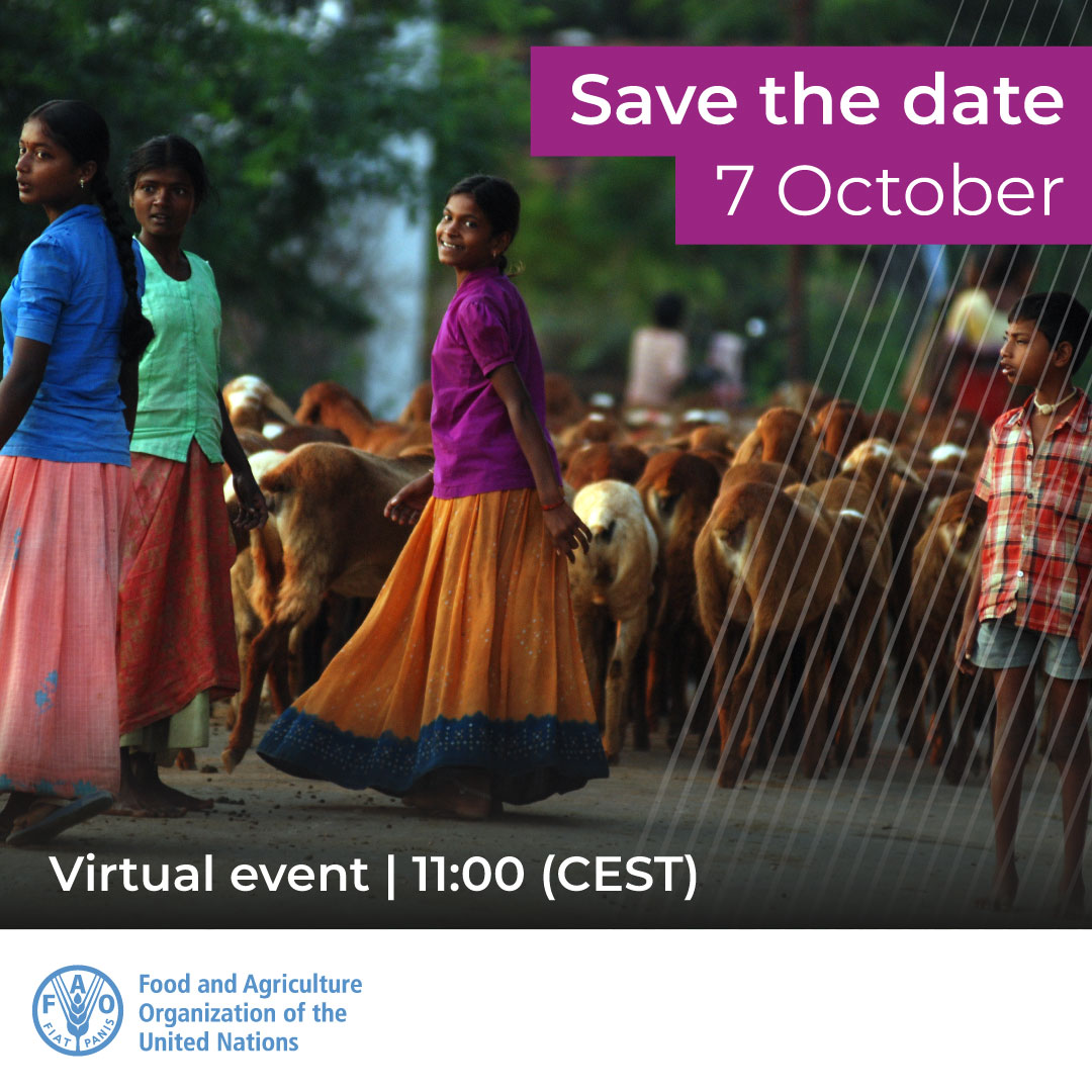 📌 Save the date ‼️

Join us for the second seminar on #PestedesPetitsRuminants and learn about community-led approaches to PPR eradication

Register here 👉 bit.ly/3BIVz4J

🗓 Friday, 7 October 2022
⏰ 11:00 (CEST)