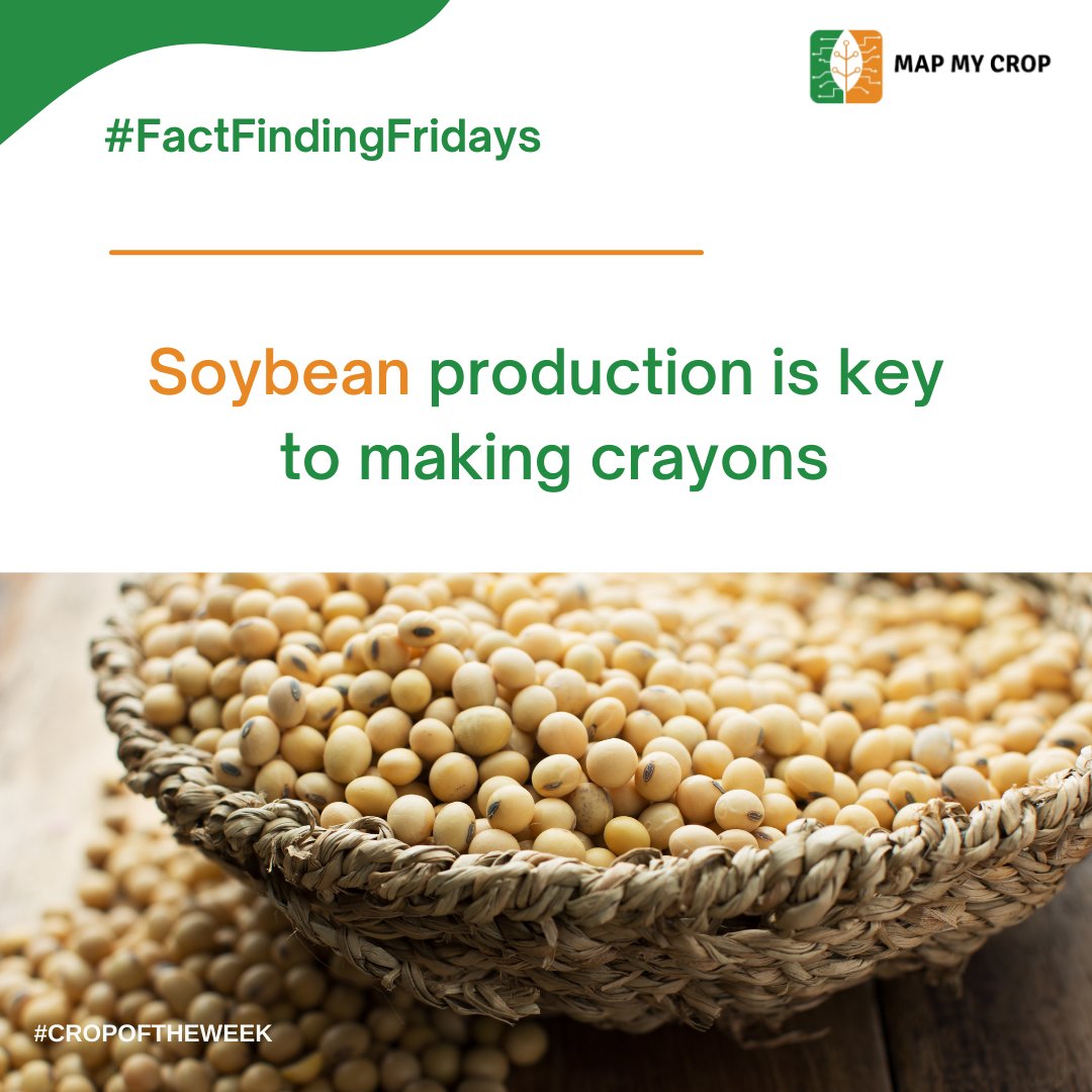 mapmycrop's tweet photo. Did you know?
The majority of the soybeans farmed in the United States are used to feed animals, but they are also used to make other products like crayons.
#agriculture #factfindingfriday #factfriday #friday #farmingfacts #facts #cropmonitoring #agriculturefacts #usafarming https://t.co/hFnjJeySnb