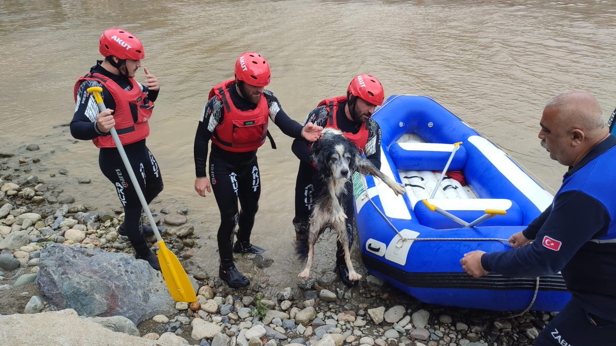 #AKUToperasyon #AKUTRize ekibimiz, Pazar ilçe merkezinde taşan derenin ortasında mahsur kalan bir köpek için çıktığı operasyonu, köpeği mahsur kaldığı yerden kurtarıp Belediye yetkililerine teslim ederek sonlandırmıştır.