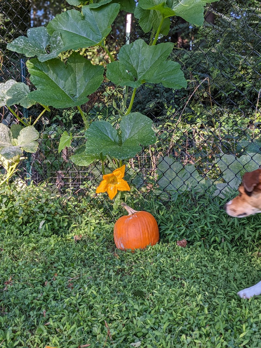 Magic Key FM tweet media