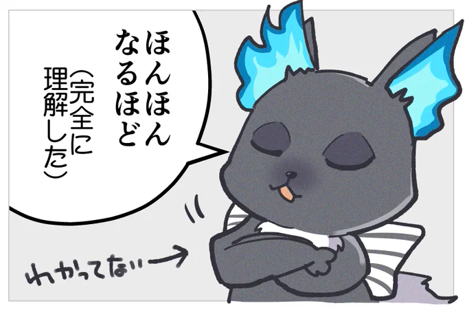 🐱これよ 