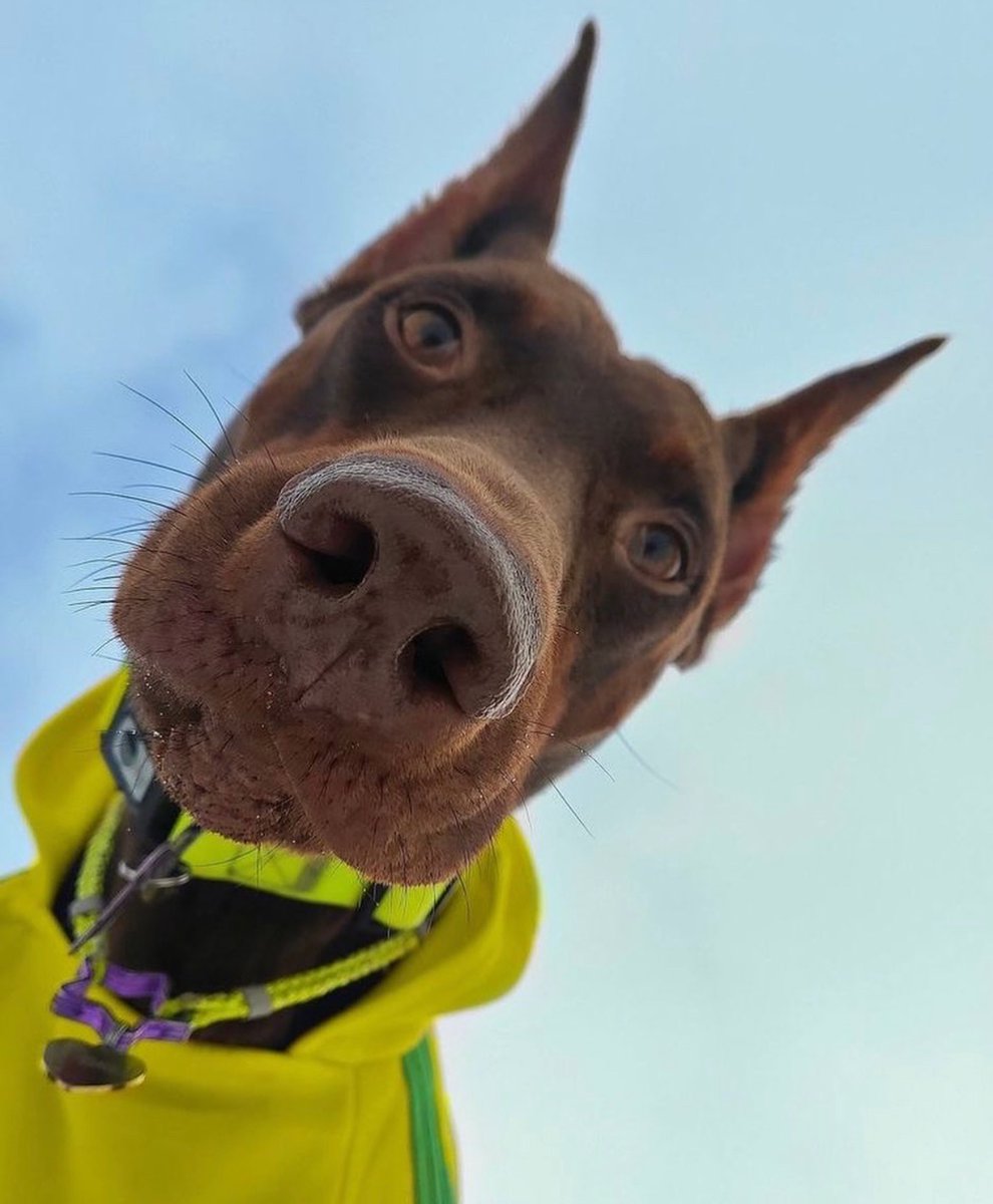 DRIP (@dript3r) on Twitter photo 