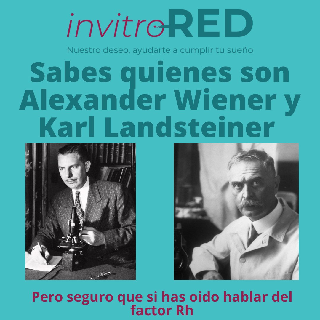 InvitroREDes's tweet photo. ¿Sabes qué es el factor Rh?
#invitroRED #infertilpandy #fertilidad #embrion #fiv #icsi #reproduccionasistida #fertilidad #busquedadeembarazo #quierosermadre #buscandosermama #medicinareproductiva #fecundacioninvitro #embriologia #rh #factorrh #aborto https://t.co/GIKy82jmKP