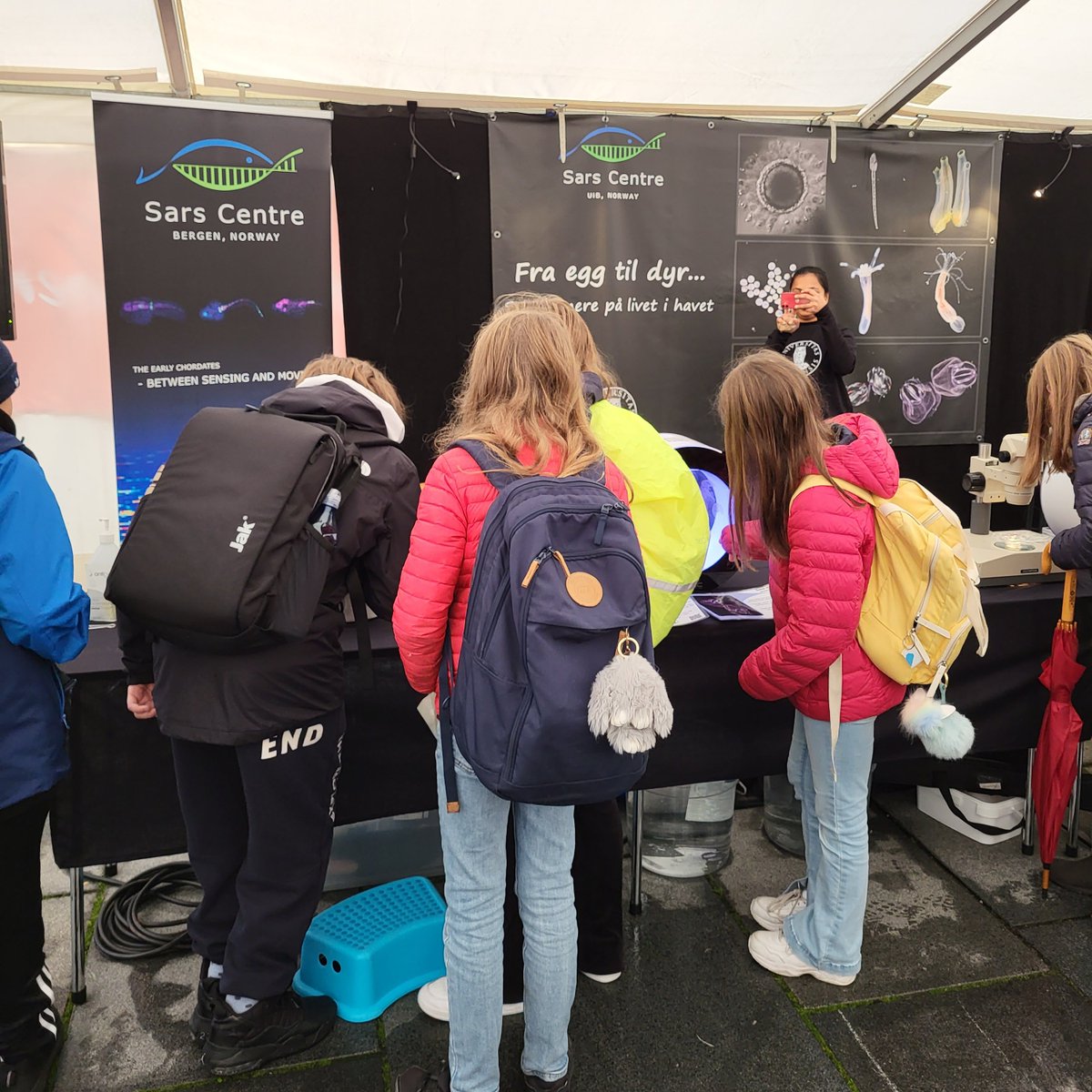 We had a great time today at #forskningsdagene!! Sea squirts, comb jellies and sea anemones are ready for day 2 tomorrow, 11-16 on #festplassen. Everyone is welcome, come meet us!
@forskningbergen @UiB