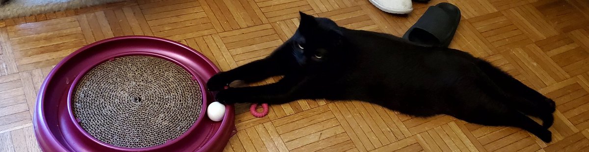 oatmilkluvr4's tweet photo. what the cat doin https://t.co/WWtO6pb34w
