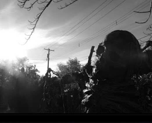 plum_hazel's tweet photo. My photo #pumpkinhollow #pumpkinhollowphotography #halloween #ghoul #blackandwhitephotography #photobybean #yardhaunt https://t.co/VuYVnoyHpR
