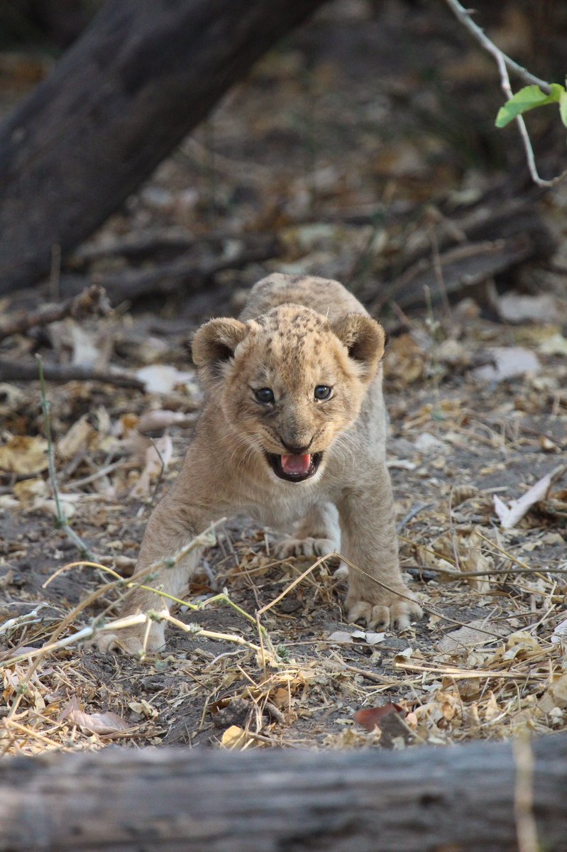 Marcus W tweet media