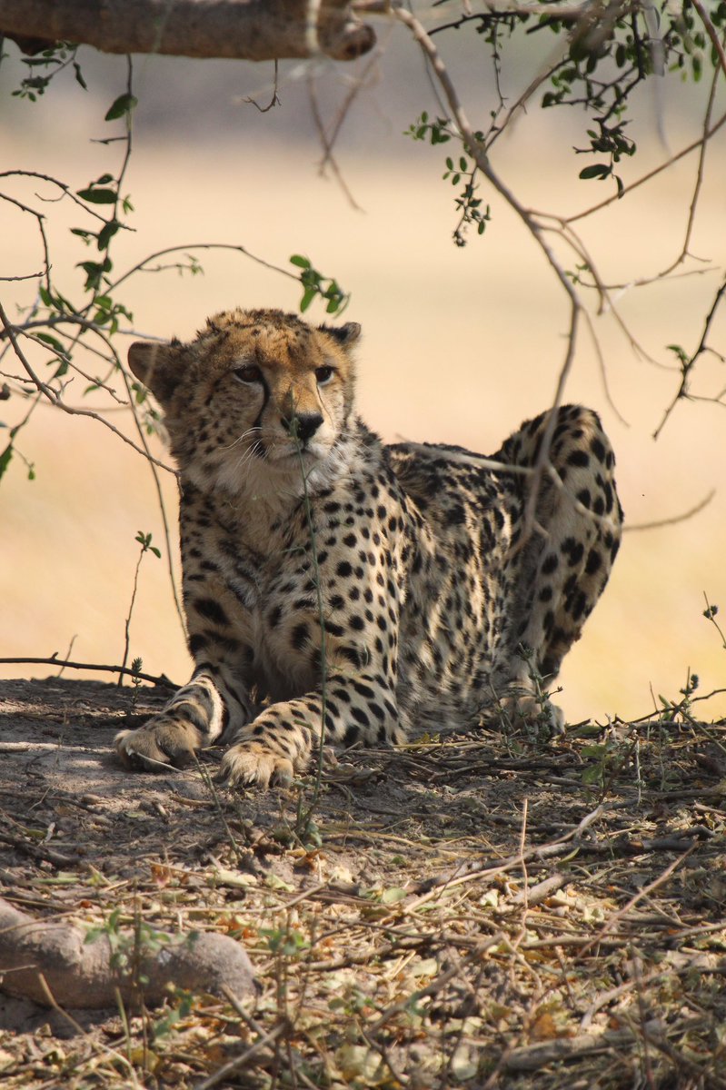 Marcus W tweet media