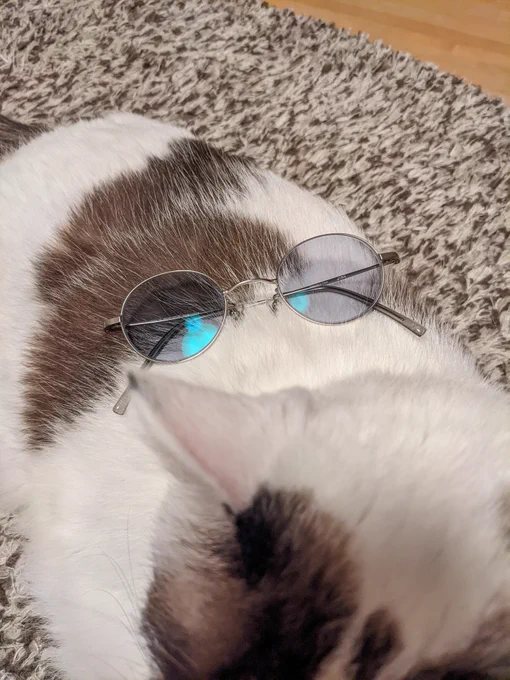 年齢的にファッションにえぐみを加えてもいいだろうと思ったので新しい眼鏡はカラーレンズにした今シーズンのファッションテーマは「えぐみ」です 