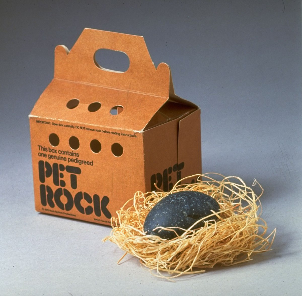 Do you remember the Pet Rock fad in the 70s? Did you have one? #petrocks #popculture #1970s #fad #nostalgia #pet