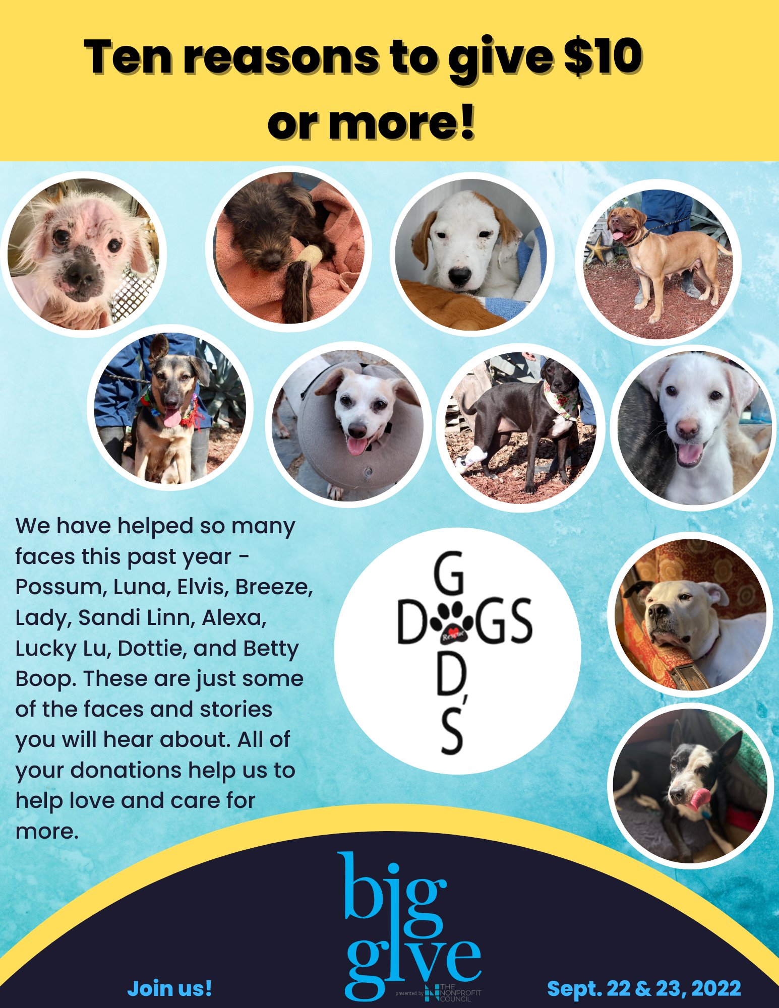 God's dog rescue 2025