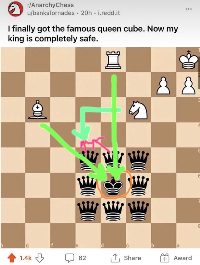 I finally did the king and queen checkmate! : r/AnarchyChess