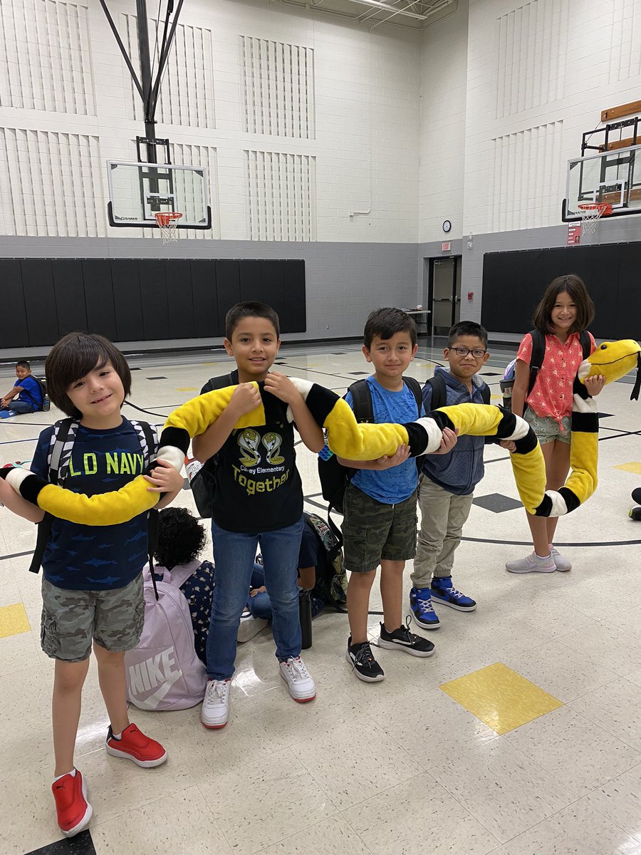 racortes's tweet photo. Last week we won The Cobra 🐍! Students looked so proud and the teacher, too. @Camey_ES @LewisvilleISD https://t.co/ZVirCjpiJr