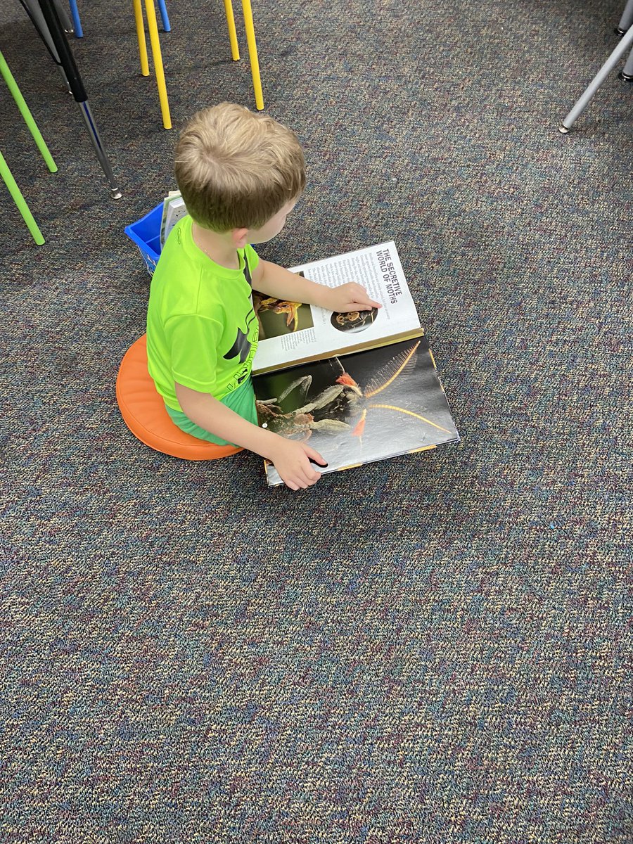 barton2ndgrade's tweet photo. We are working hard on building our reading stamina. #wegienkawildcat https://t.co/5Fa2CDwR1D