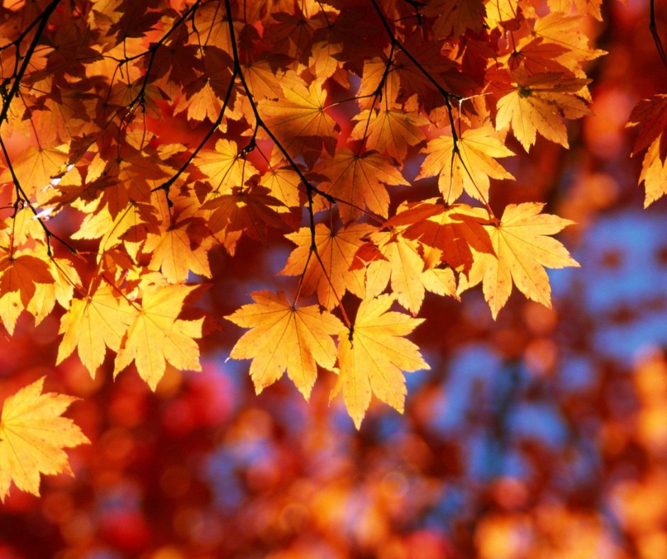 Warm Thoughts tweet media