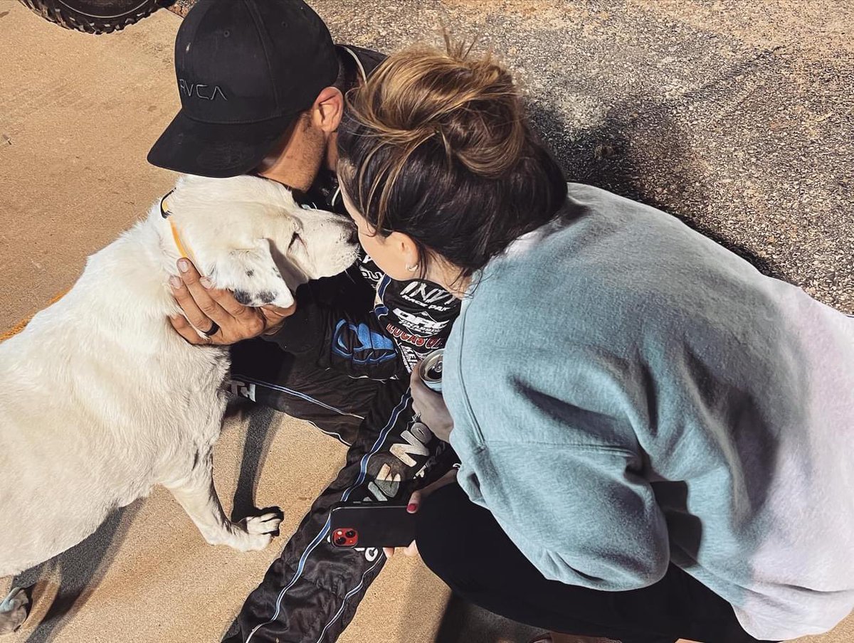 Landon Simon tweet media