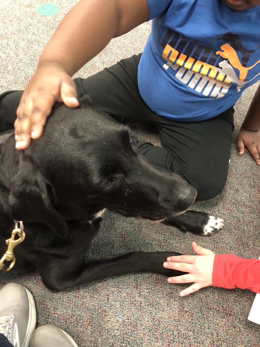 JManiakas's tweet photo. Maggie Moo met some special friends in the Media Center at Fox Hill Elementary today. https://t.co/GbBLGDQTL7