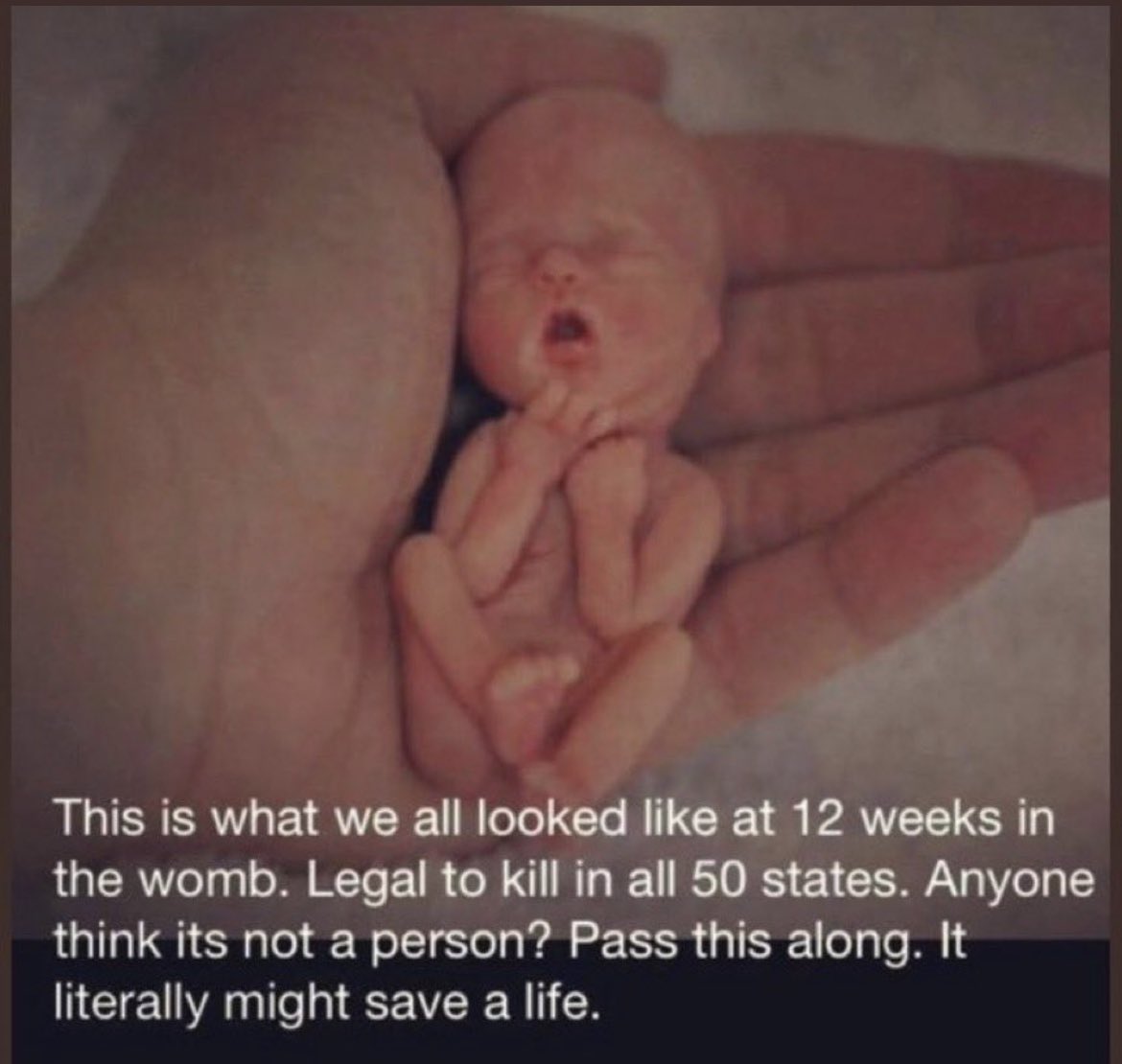 EmilyAce1111's tweet image. Yo Demon-rats! 
You good with this? 👿😤👿