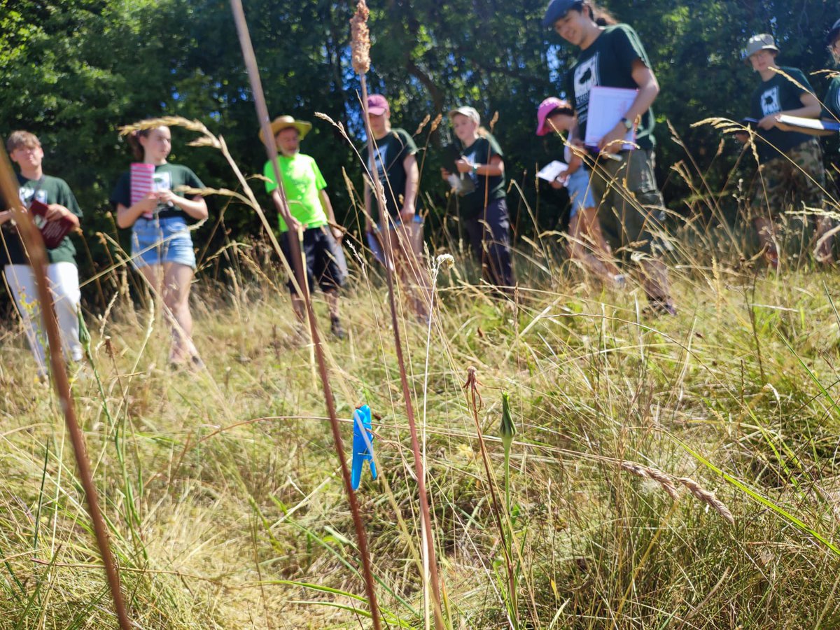 NickMarriner1's tweet photo. Just confirmed @ChilternsCCC #NewShoots small bursary award to 5 young people. £50 for walking boots, £45 for waterproof coat, £90 course fee, £200 brushcutter training, £210 travel to work parties. #makesadifference &amp; fuels passion of our inspirational group of Young People 👍👍 https://t.co/qc0YtKsI9L