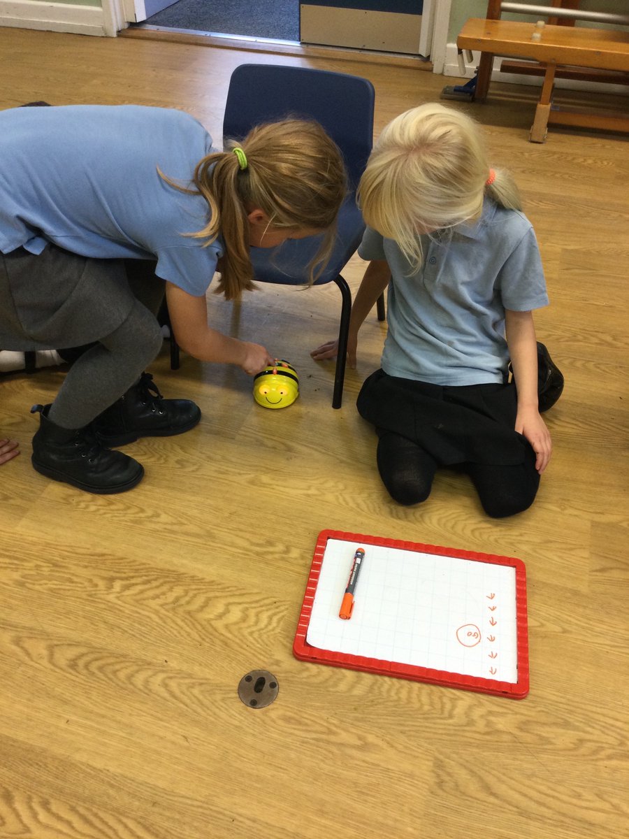 AlburghCE's tweet photo. This week as part of #NationalCodingWeek each class has taken part in various coding activities. @codingweek #ict #acornsclass #seedlingsclass #saplingsclass #oaksclass @StBenetsMAT https://t.co/py60B5dKA1