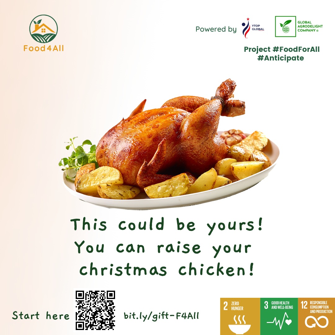 agrodelight's tweet photo. Feliz Navidad!🥳🥳

Do you like the sound of a sweet, tasty and nutritious chicken?😋

However you love your chicken, we've got you covered!🥰

Join the training on how to raise your chicken with Food4All here https://t.co/OOb3ujtq3U https://t.co/uDTe9P9QOF