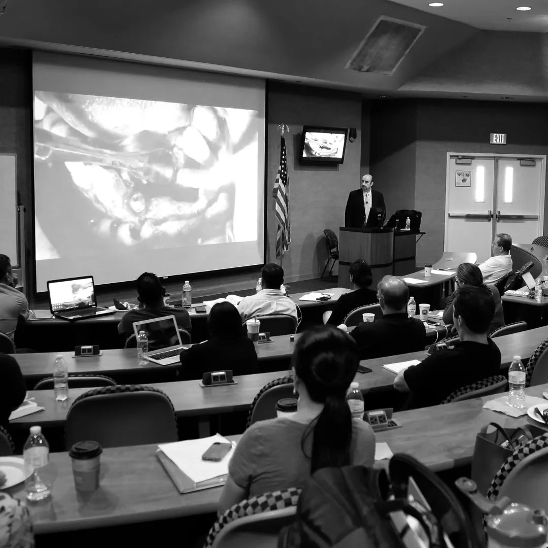 caimplantInst's tweet photo. Welcome to California Implant Institute, California Implant Institute offers Fellowship, Mastership, and Live-Patient Surgical Externship Programs. 

Feel free to contact us at: 858.496.0574 or info@implanteducation.net https://t.co/F8uBQ4mt0C https://t.co/caVUvWSGVL