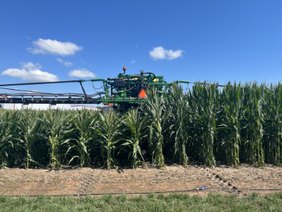 Bayer4CropsUS's tweet photo. We are already seeing some promising results coming in from our #ShortStatureCorn test sites.

With increased standability, these corn hybrids are less likely to be knocked down in extreme weather compared to conventional corn. https://t.co/OwkzlRr4hP