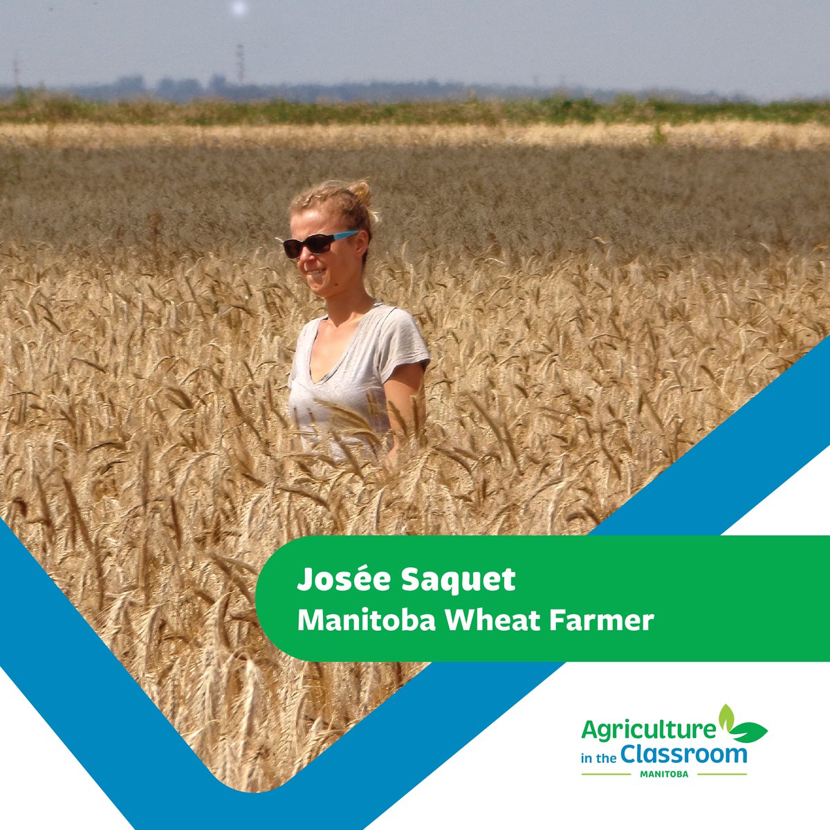 aitcmb's tweet photo. Talking about how food is made can connect students with history, science, technology, &amp; more. Our new #FoundationsOfMBAg virtual hub links subjects like those to staples such as wheat: https://t.co/srWfaCS7oR

Thank you to our 2022 Presenting Sponsor, @PeakoftheMarket

@MBGovAg https://t.co/x6x555WLQP
