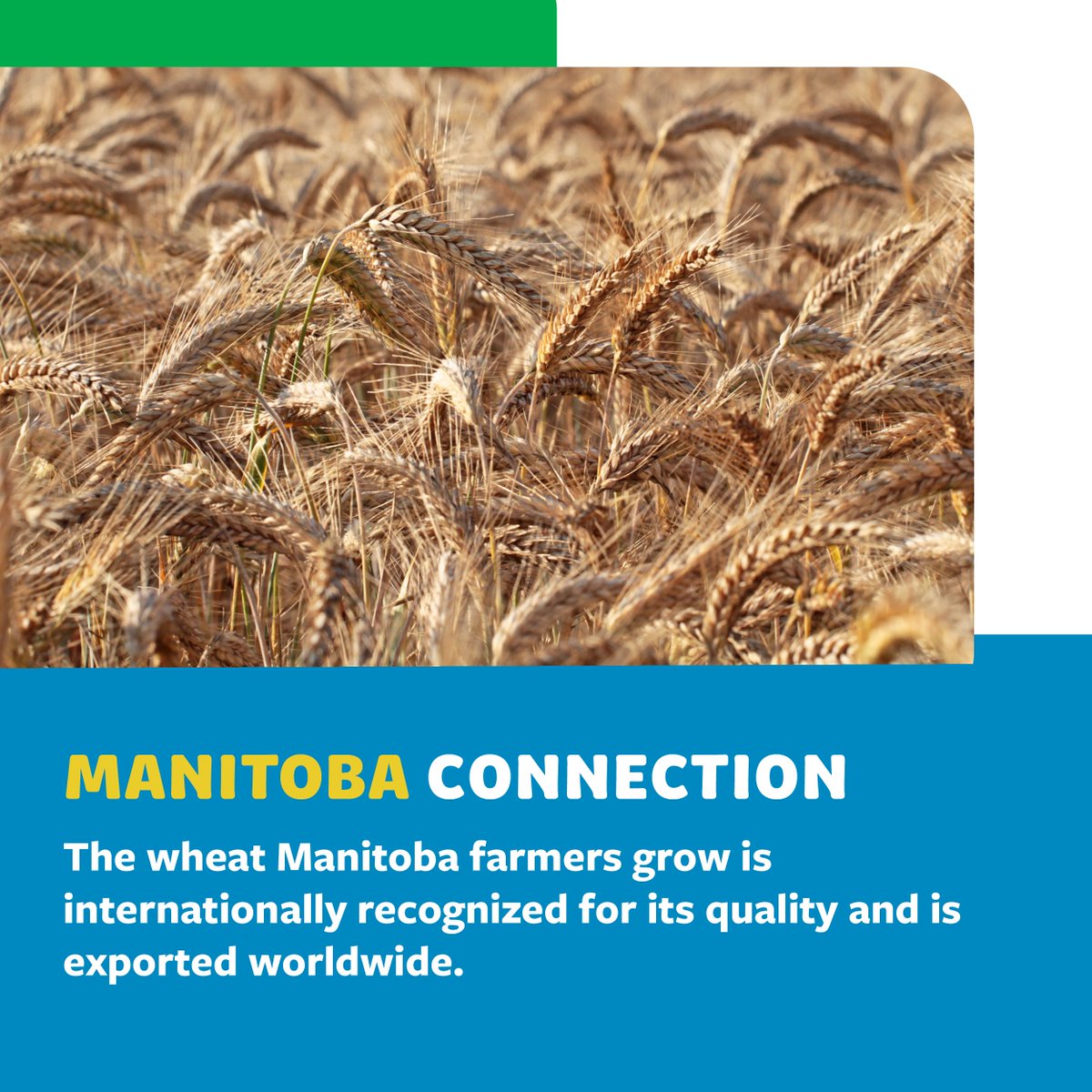 aitcmb's tweet photo. Talking about how food is made can connect students with history, science, technology, &amp; more. Our new #FoundationsOfMBAg virtual hub links subjects like those to staples such as wheat: https://t.co/srWfaCS7oR

Thank you to our 2022 Presenting Sponsor, @PeakoftheMarket

@MBGovAg https://t.co/x6x555WLQP