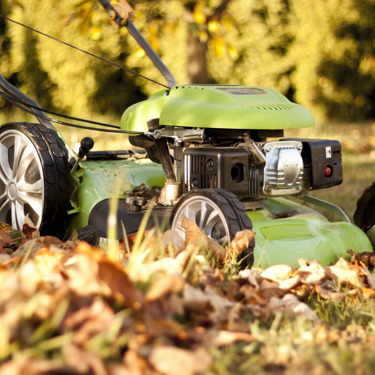 MrDroplet's tweet photo. Happy Autumn! Time for fall yard clean up! Compost or mulch leaves, if possible. Check out this great blogpost from SLC: https://t.co/yqrQcCwbdU
#WeAllLiveDownstream
#DoALittleHelpALot
#KeepStormDrainsClear
#DontTrashOurStormwater
#LeaveLeaves https://t.co/OYRyuVlWgh