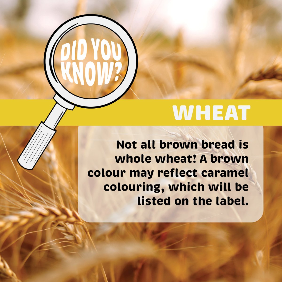aitcmb's tweet photo. Talking about how food is made can connect students with history, science, technology, &amp; more. Our new #FoundationsOfMBAg virtual hub links subjects like those to staples such as wheat: https://t.co/srWfaCS7oR

Thank you to our 2022 Presenting Sponsor, @PeakoftheMarket

@MBGovAg https://t.co/x6x555WLQP