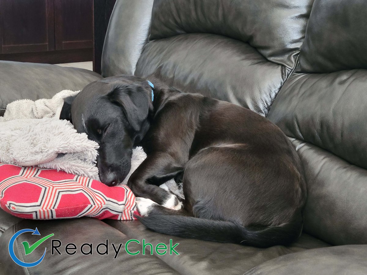 ReadyChek's tweet photo. With ReadyChek your #drivers' #PreTrip #inspections and #HoursOfService are safe in the cloud giving you a worry free weekend.
Visit https://t.co/DrWRMGdmR7 for details. #30DaysFree
#NoMorePaper #FridayMotivation #ItsJustThatSimple #RestEasy #CVOR #CMV #Canada #RoadSafety https://t.co/pBPGdQTLoa