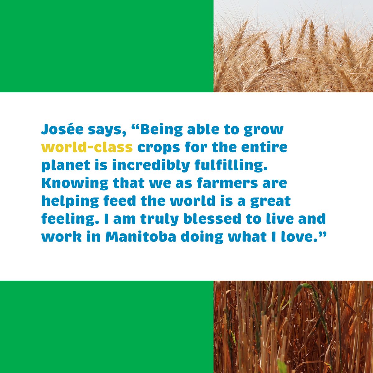aitcmb's tweet photo. Talking about how food is made can connect students with history, science, technology, &amp; more. Our new #FoundationsOfMBAg virtual hub links subjects like those to staples such as wheat: https://t.co/srWfaCS7oR

Thank you to our 2022 Presenting Sponsor, @PeakoftheMarket

@MBGovAg https://t.co/x6x555WLQP