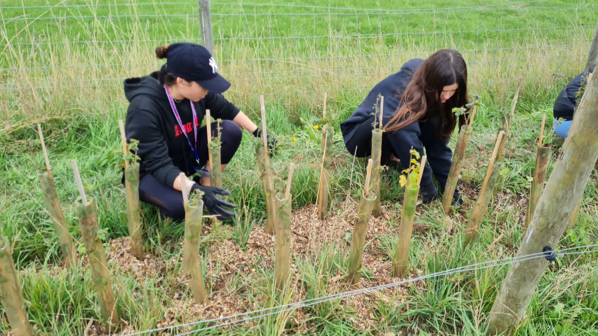 MHcolegio's tweet photo. The aim of the conference? "To carefully consider what we take from our environment and from the people around us, and always put back more than we take."  #RSIC2022 https://t.co/i6uqzL59Hc