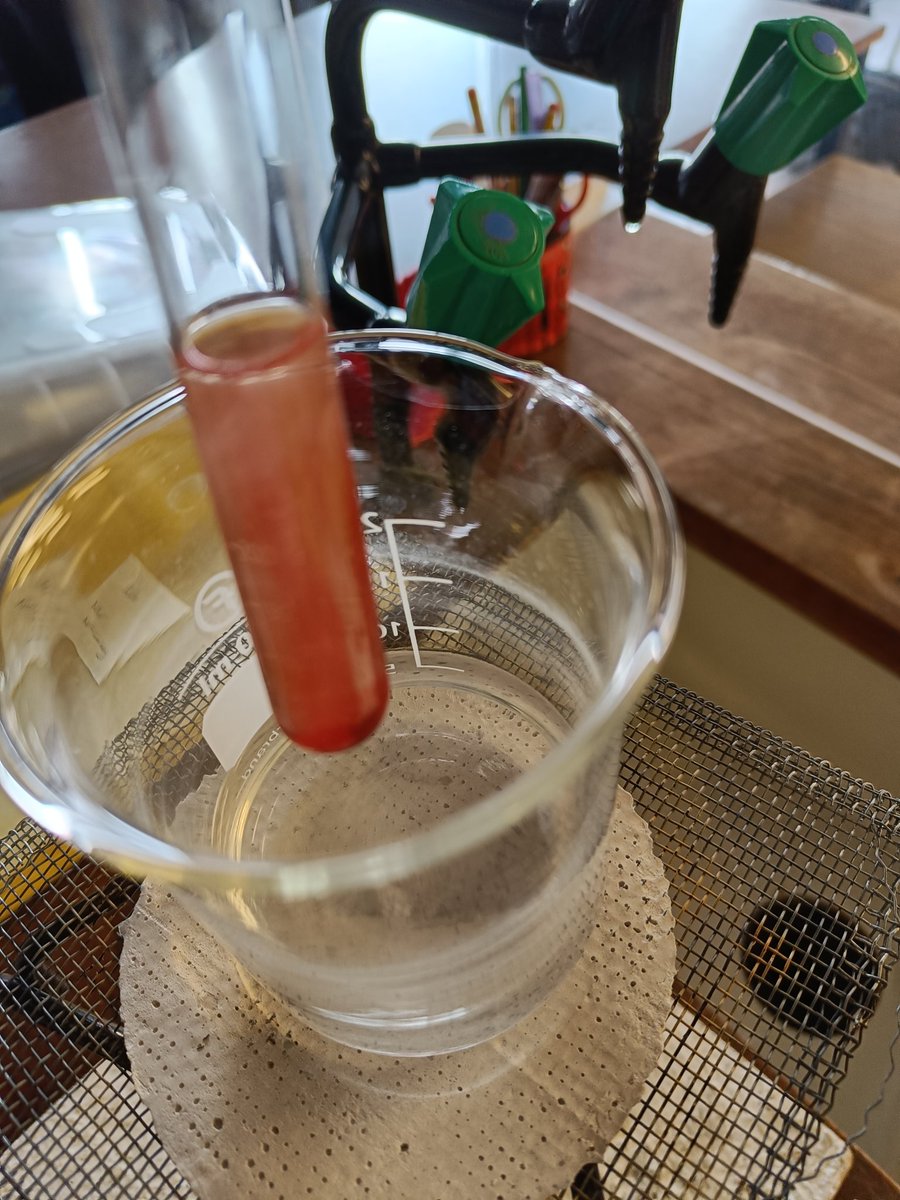 SLG Biology Dept. tweet media