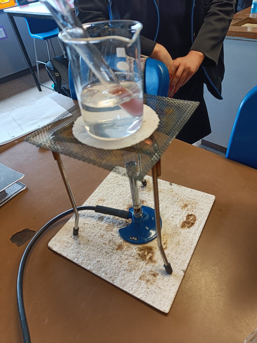 SLG Biology Dept. tweet media