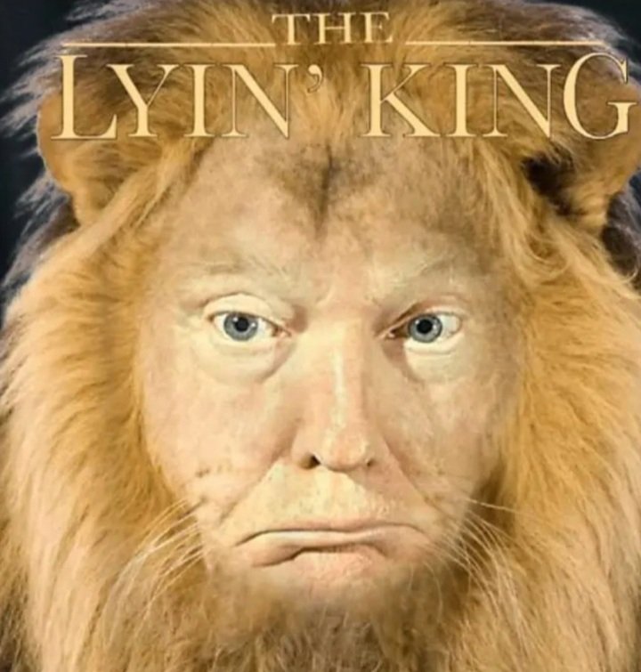Rondaj1963's tweet photo. @WitnessOnly @DonaldJTrumpJr https://t.co/ubsrtFBBrb